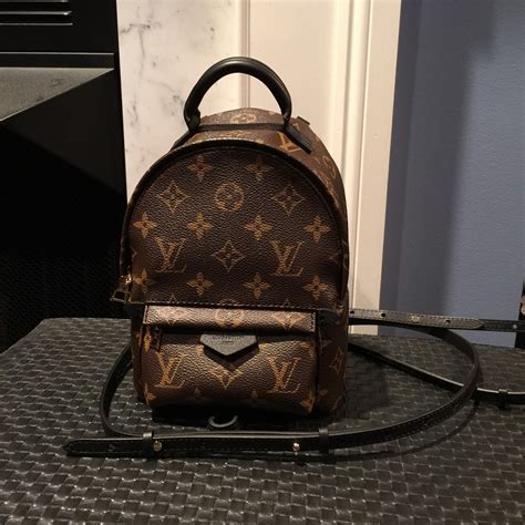 palm springs louis vuitton backpack mini|louis vuitton mini backpack wristlet.